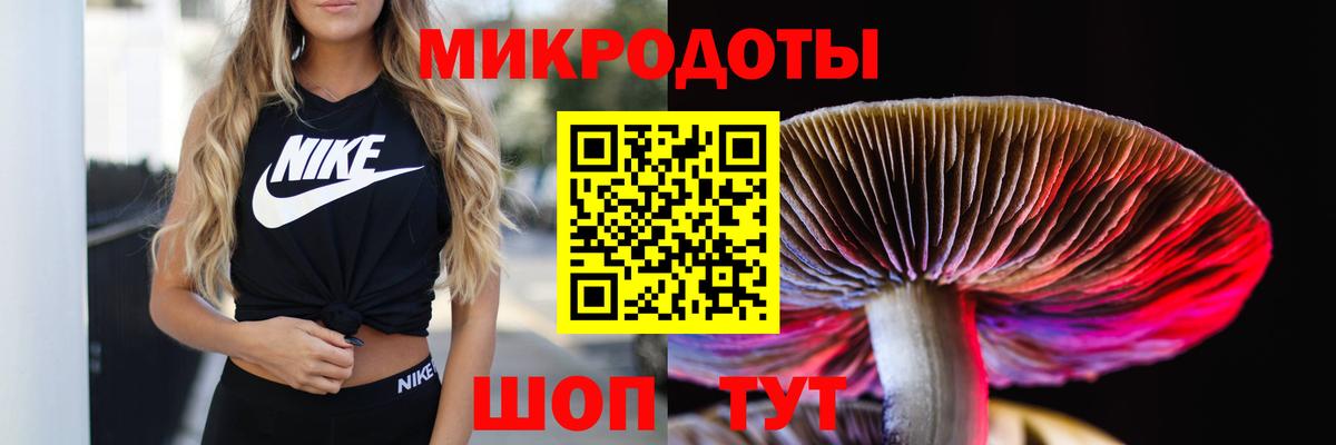 Галлюциногенные грибы мицелий  Вход с VPN  Карачаевск 